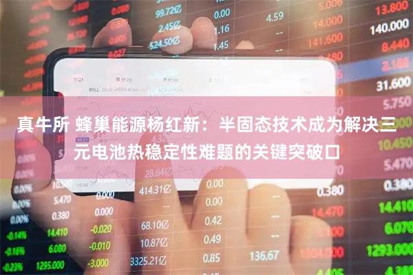 真牛所 蜂巢能源杨红新：半固态技术成为解决三元电池热稳定性难题的关键突破口