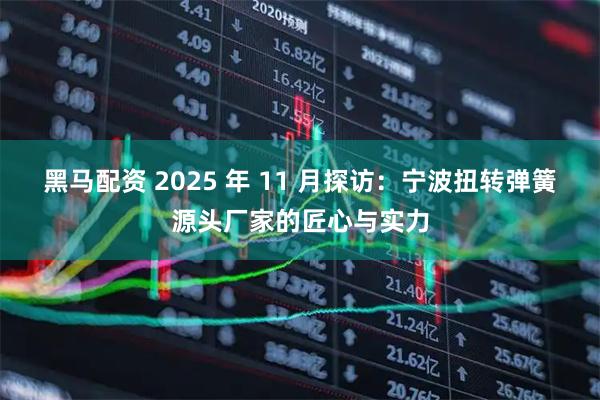黑马配资 2025 年 11 月探访:宁波扭转弹簧源头厂家的匠心与实力