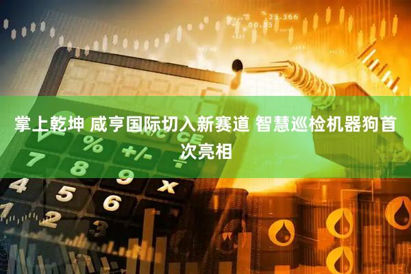 掌上乾坤 咸亨国际切入新赛道 智慧巡检机器狗首次亮相