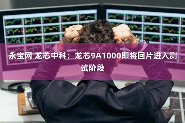 永宝网 龙芯中科：龙芯9A1000即将回片进入测试阶段